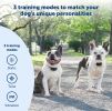 PetSafe Add-A-Dog Receiver Collar, Standard