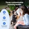 PetSafe Core Dog Trainer with Remote