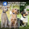 PetSafe Basic Dog Trainer with Remote
