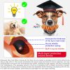 PROKEl Hot Dog Chew Toy for Dogs with Aggressive Chewing Behavior