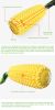 PROKEl Squeaky Corn Stick Rope Toy