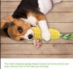 PROKEl Squeaky Corn Stick Rope Toy