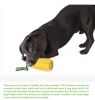 PROKEl Squeaky Corn Stick Rope Toy