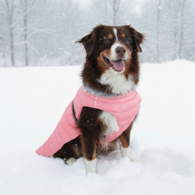 Alpine Extreme Weather Puffer Coat (Color: Peach, Size: Large)