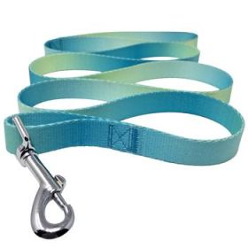 American River Ombre Leash (Color: Aruba Blue, Size: 5/8 inches wide x 4 feet long)