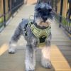 Venture Paw PULL CONTROL Harness - Aspen