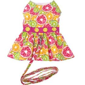 Citrus Slice Dog Dress with Matching Leash (Size: Small)