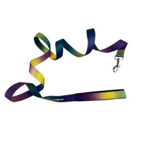 American River Ombre Leash (Color: Cosmic Splash, Size: 1 inch wide x 6 feet long)
