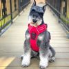 Venture Paw PULL CONTROL Harness - Crimson