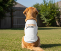 Crumb Licker Dog Shirt - White