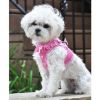 American River Choke Free Dog Harness Polka Dot Collection