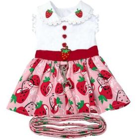 Strawberry Picnic Dog Dress with Matching Leash (Size: Large)