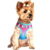 American River Choke Free Dog Harness Ombre Collection