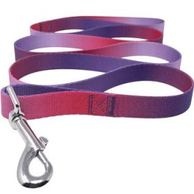 American River Ombre Leash (Color: Raspberry Sundae, Size: 5/8 inches wide x 4 feet long)