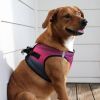 American River Choke Free Dog Harness Ombre Collection