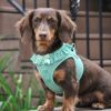 American River Choke Free Dog Harness Polka Dot Collection