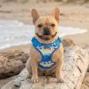 Cool Mesh Dog Harness with Leash - Catching Waves